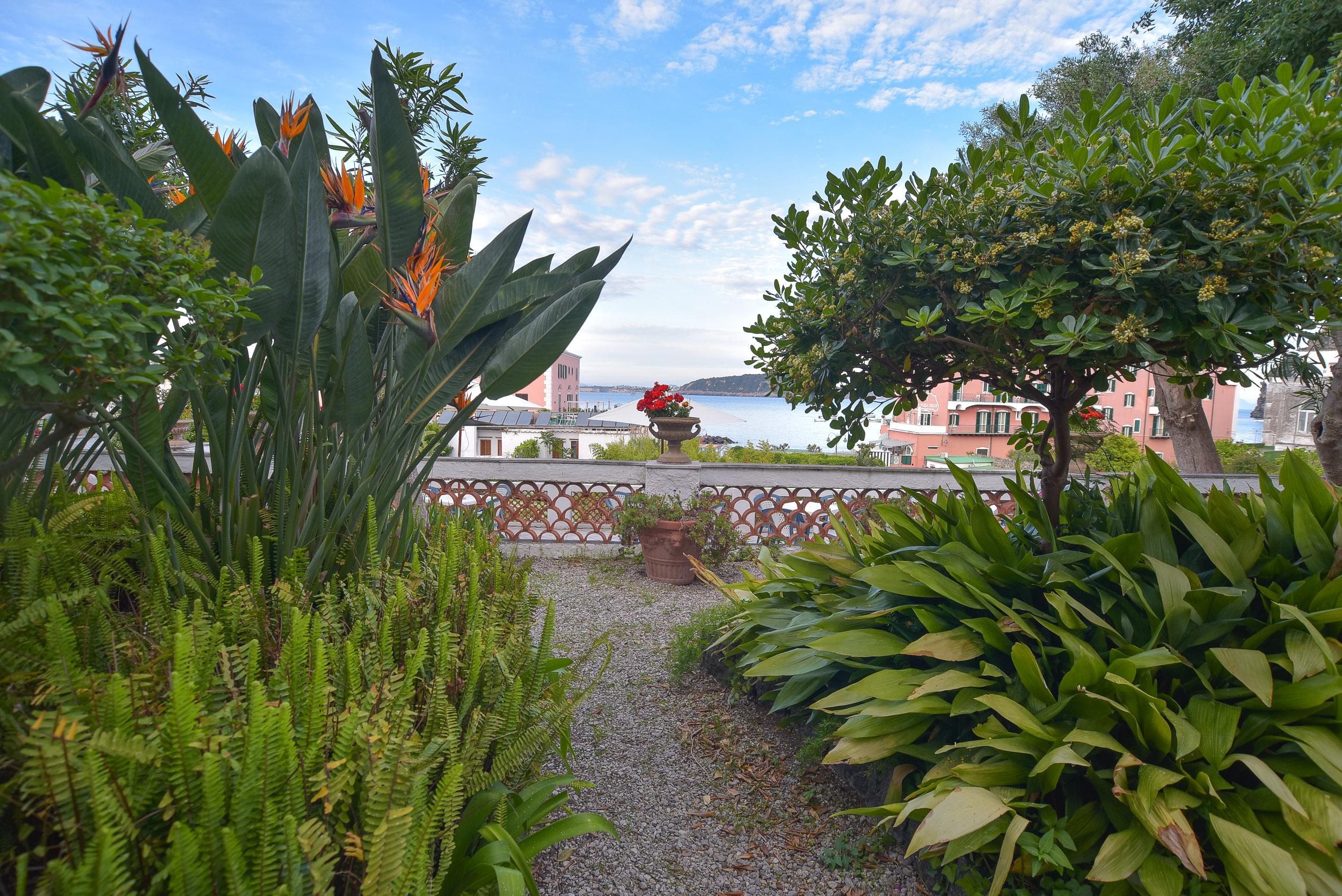 Villa Panoramica - Ischia Ponte מראה חיצוני תמונה