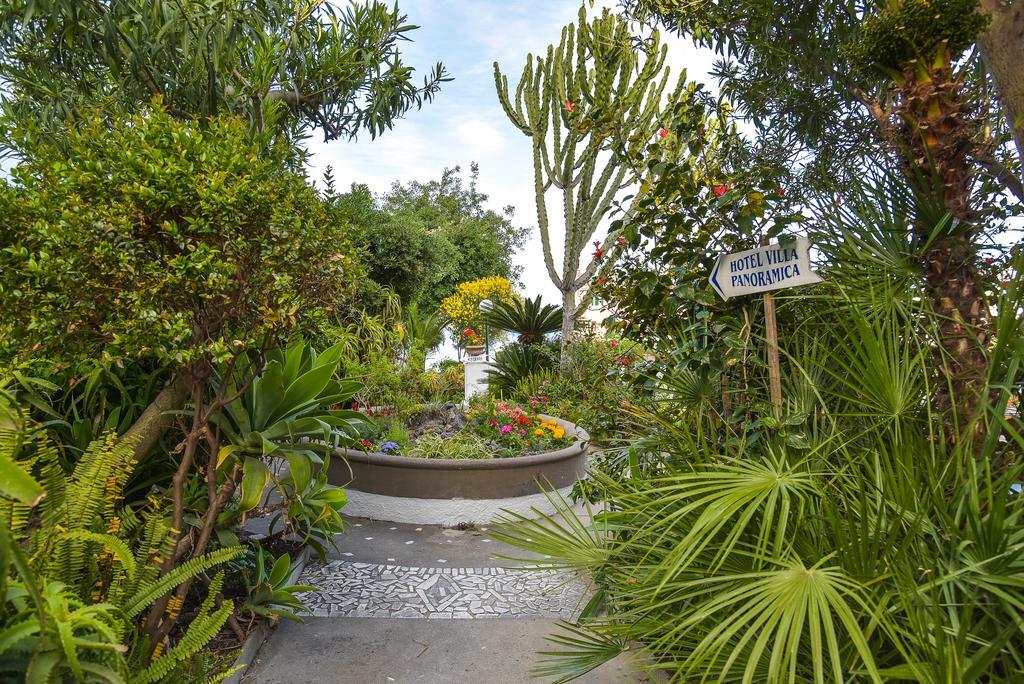 Villa Panoramica - Ischia Ponte מראה חיצוני תמונה