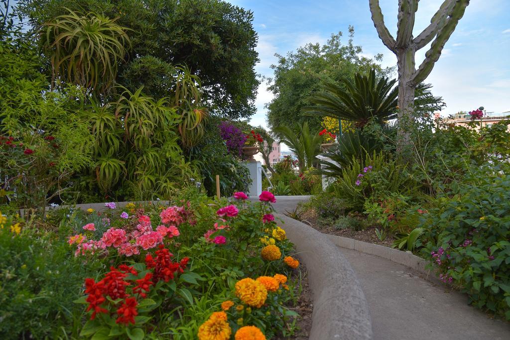 Villa Panoramica - Ischia Ponte מראה חיצוני תמונה