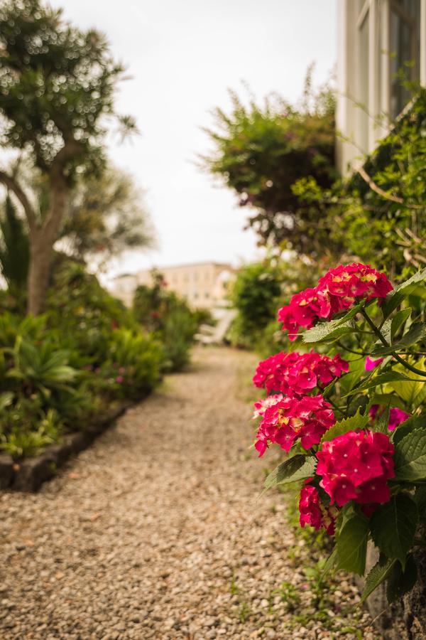 Villa Panoramica - Ischia Ponte מראה חיצוני תמונה